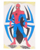 Spider Çocuk Ressam Seti - 20 x 30 cm Önçizimli Tuval, 2 Adet Fırça, Palet, Boyalar ve Şövale
