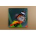 Renkli Kelebek Dekoratif Kare Kanvas Tablo