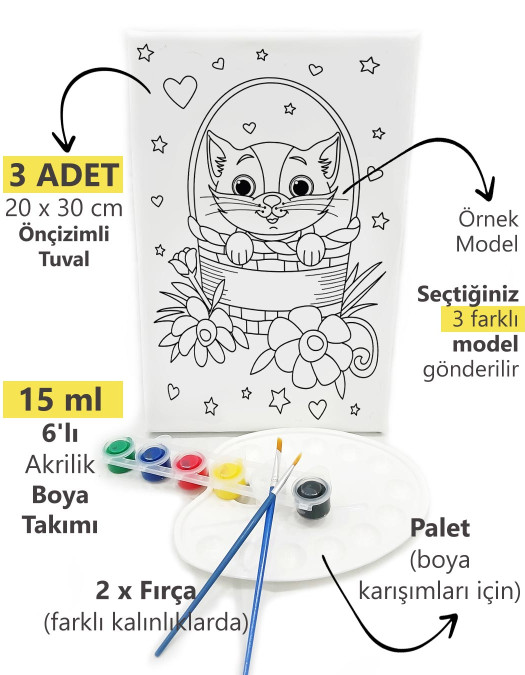 3'lü Minik Ressam Seti 20 x 30 cm Önçizimli Tuval 2 Adet Fırça Palet ve Boya